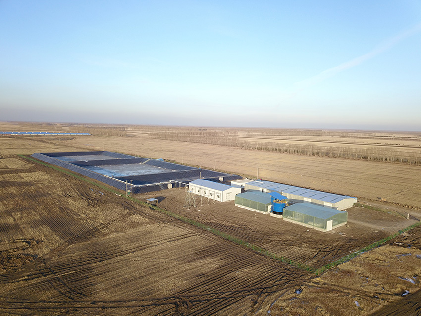 富裕有機(jī)肥加工場.JPG